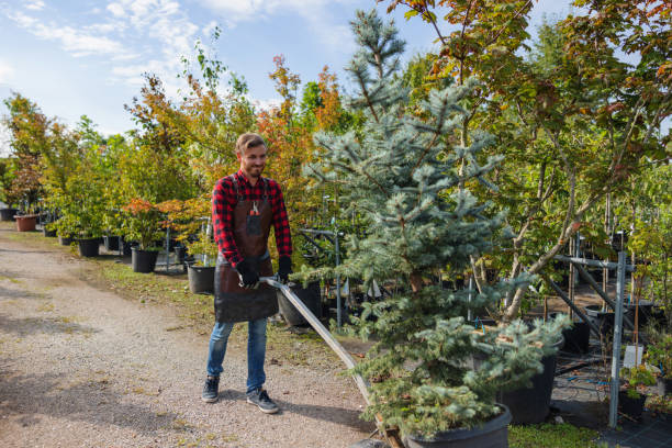 Woodbranch, TX  Tree Services Company